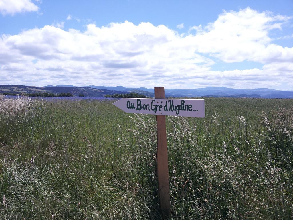 Bed and Breakfast Au Bon Gre D'Hugoline Blanzac  Экстерьер фото