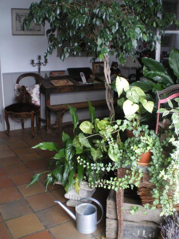 Bed and Breakfast Au Bon Gre D'Hugoline Blanzac  Экстерьер фото